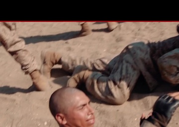 Warrior Wednesday - Alpha Company