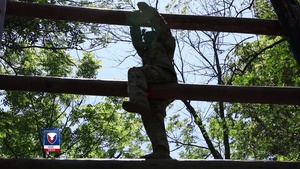 AMC News Dispatch: Best Warrior Competition