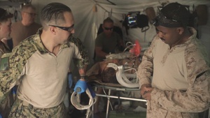 Two Sailors and a Soldier walk into the ER