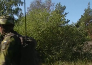 Archipelago Endeavor - U.S. and Swedish Marines FST