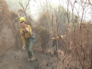 Mendocino Complex Fire 2018