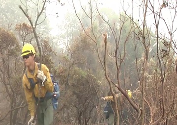 Mendocino Complex Fire 2018