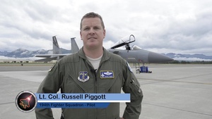 Eagles Soar Over Alaska