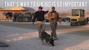 332nd ESFS Working Dogs - Story