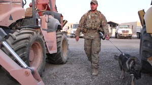 332nd ESFS Working Dogs b-roll