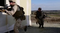 Preserving Wildlife and the Habitat Aboard Marine Corps Base Camp Pendleton