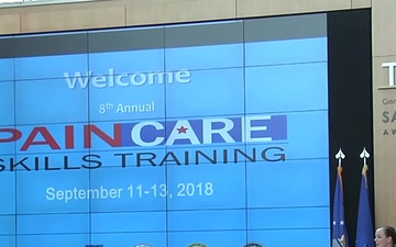 2018 Pain Care Skills Training: Army, Navy, Air Force Service Updates