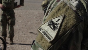 Bulldog Brigade Infantry train to standard