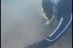 CGA Dives on USS Arizona