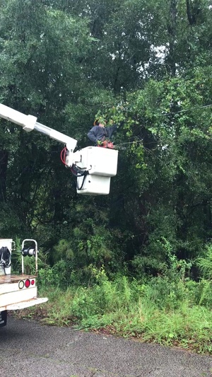 Carter White electrical lineman