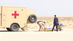 U.S. and Egyptian Army MEDEVAC Rehearsal