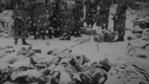 'The Chosin Few' Unite