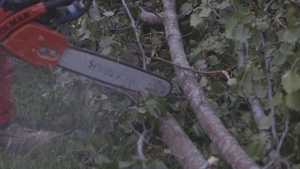 U.S. Marines clear debris at Camp Lejeune after Hurricane Florence