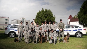 51st Military Working Dog, Group Shout Out - Tennessee Titans