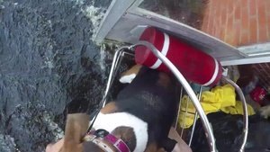 Coast Guard Air Station Atlantic City rescues people and pets during Hurricane Florence Response