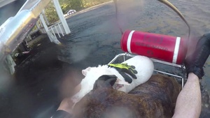 Coast Guard Air Station Atlantic City rescues people and pets during Hurricane Florence Response