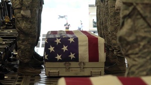Gone But Not forgotten: Repatriation of WWII Remains