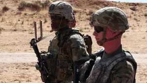 4-6 Infantry shoot, move and communicate