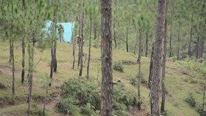 Yudh Abhyas 18: Search & Destroy Demonstration