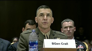 Defense Leaders Discuss Cyber Operations at Senate Hearing