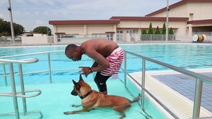 Another training day: MWDs get paws wet
