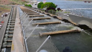 Fish Cooling Systems at Snake River Dams