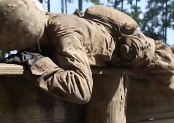 Delta and Papa Companies Crucible