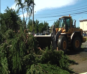 Typhoon Trami Clean Up