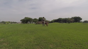 Osan In Motion - 51st SFS MWD Handler