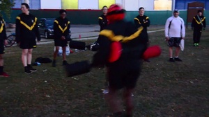 Pugil Sticks Physical Readiness Training