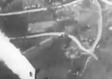 Yesterday's Air Force: The Pilot who Killed King Kong