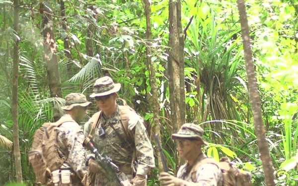 TULLY Jungle training center B-Roll