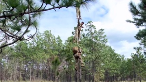 Special Forces Training B-Roll Package