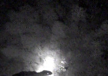 Coast Guard rescues man stuck in mud in the Francis Marion National Forest