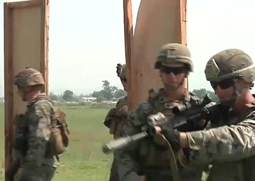 Infantry Spotlight