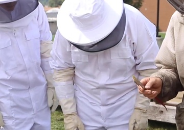 Mountaineer ChalleNGe Academy