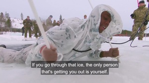 NATO Allies perform ice-breaking drills (WITH SUBS) Master