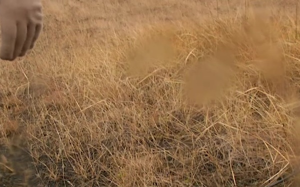 Trident Juncture 18 - Cold Weather Training - TV