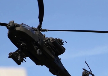 1BCT Company Combined Arms Live Fire