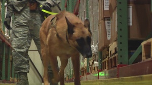 Canine Cops B Roll
