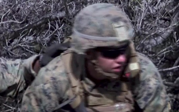 America's Battalion Conducts Squad Attacks