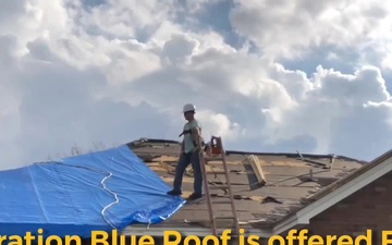 Spot - Operation Blue Roof