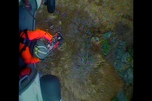 Coast Guard medevacs hiker after bear attack near Kodiak, Alaska