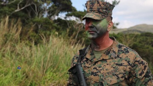 Jungle Communication Exercise