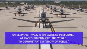 T-6A Texan II Elephant Walk