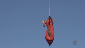 Bighorn sheep captured on WSMR for relocation