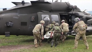 U.S. Army Europe Allies and Partners 1