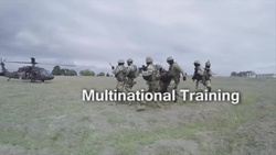 Allies and Partners  Training