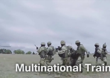 Allies and Partners  Training