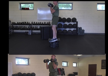 Dumbbell Single Leg Squat